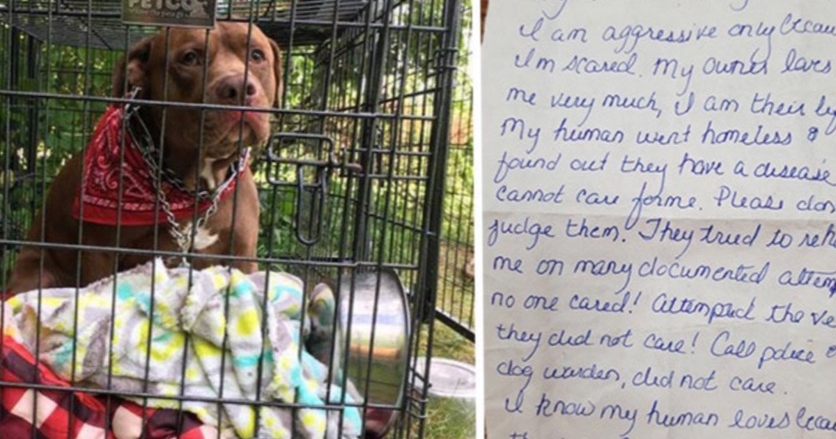 Owner who fell on hard times abandons their dog and leaves a note behind